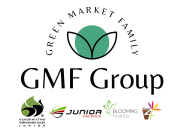gmf
