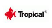 tropical